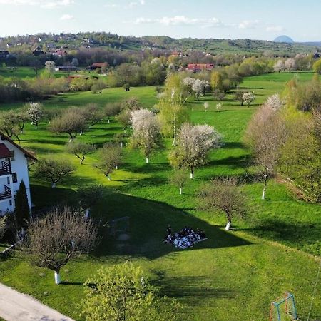 Pensiunea Din Livada Бран Екстер'єр фото