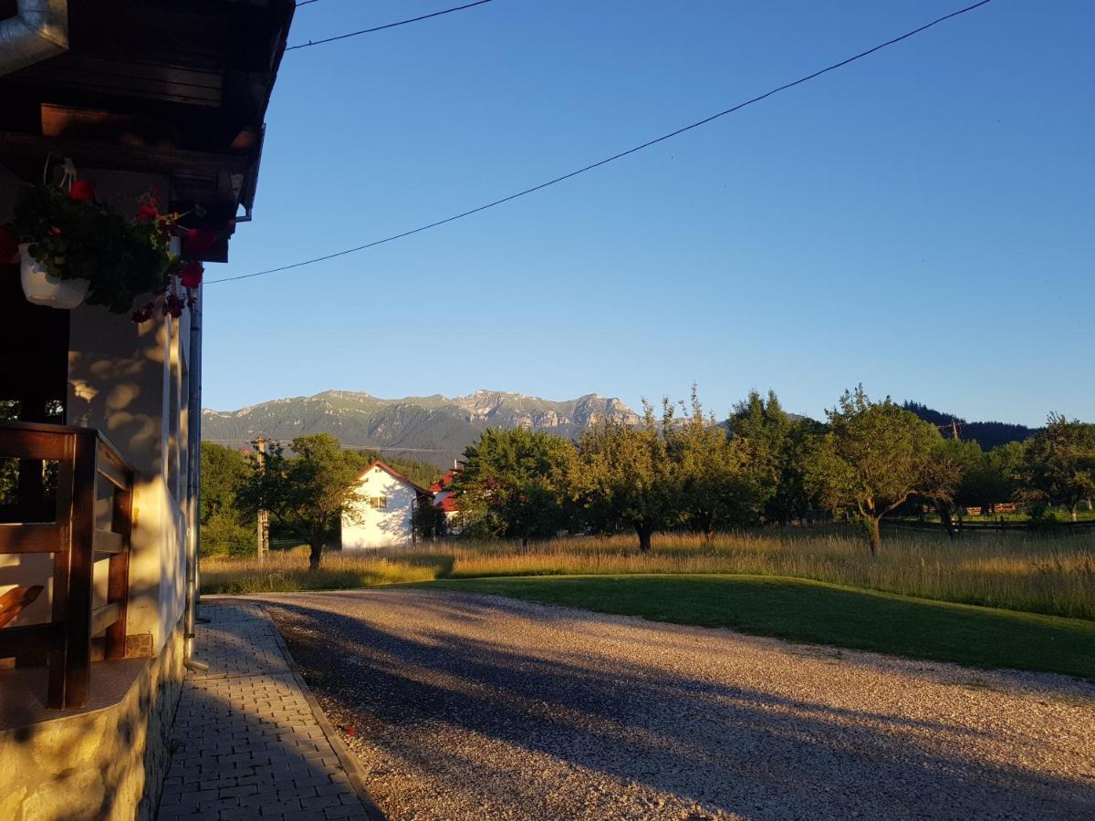 Pensiunea Din Livada Бран Екстер'єр фото